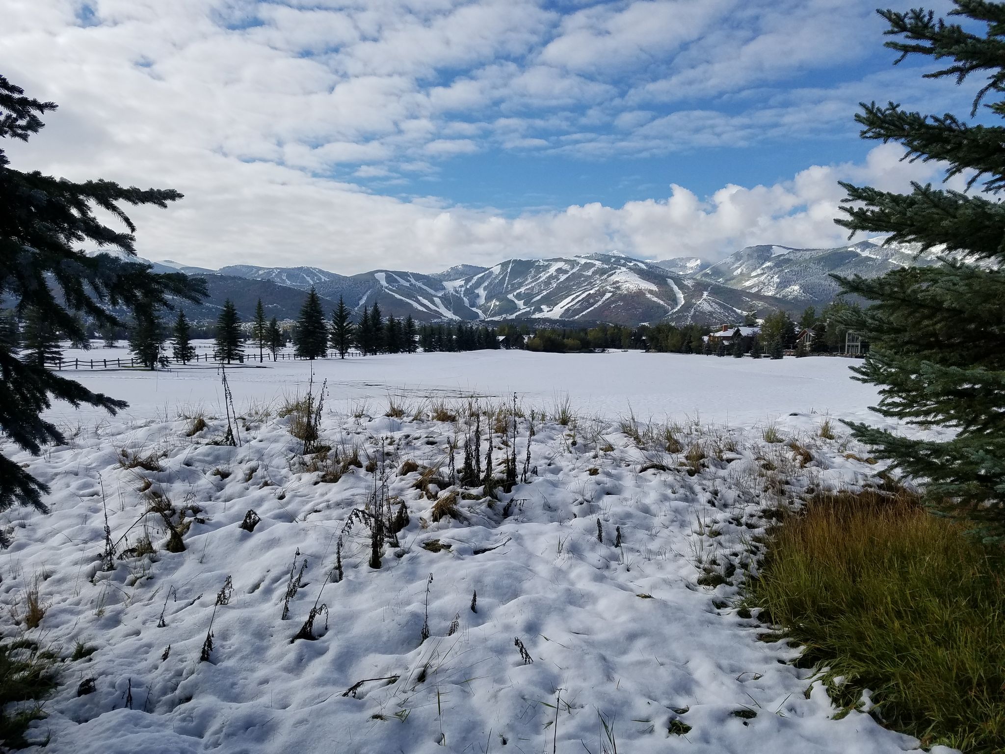 snow field